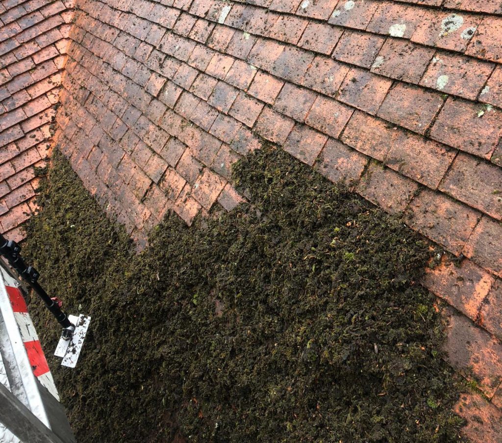 Kent Roof Care - Roof Cleaning Specialists Canterbury